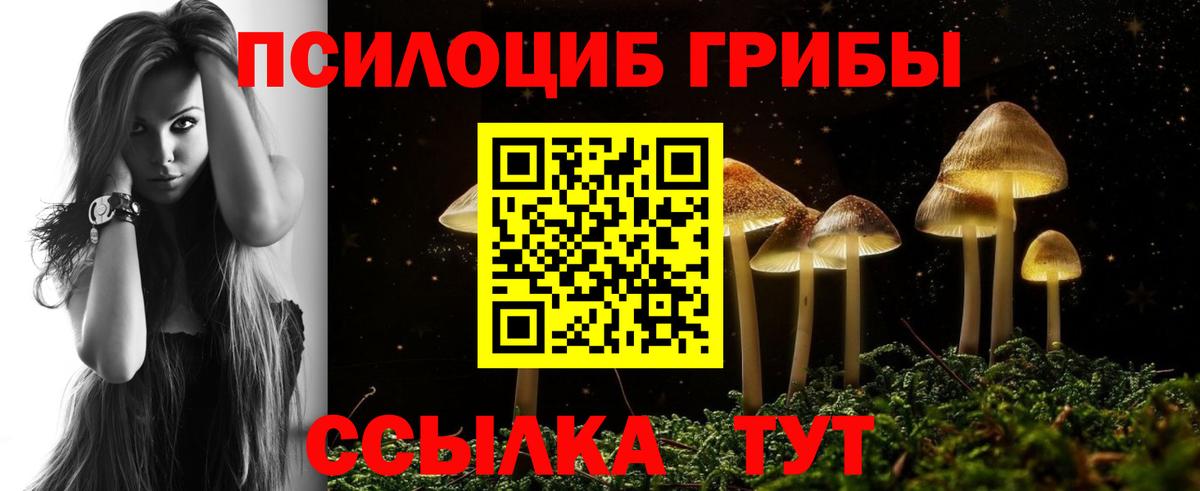 Галлюциногенные грибы прущие грибы Киселёвск