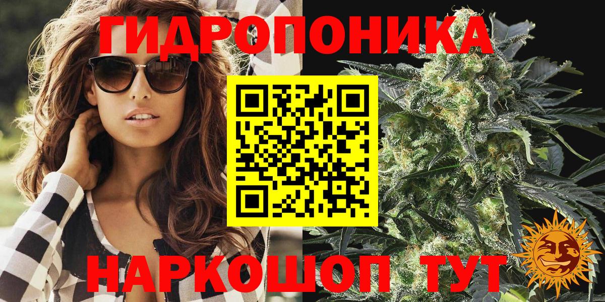 Бошки марихуана марихуана  Конопля индика  Бошки марихуана VHQ  Шишки марихуана план  Вход с VPN  Киселёвск 